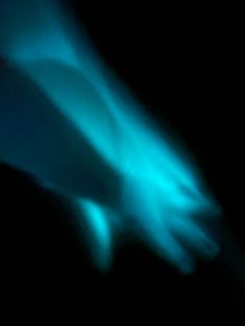 IMG 20250731 WA0021 225x300