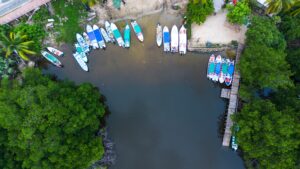 IMG 20250801 WA0054 300x169