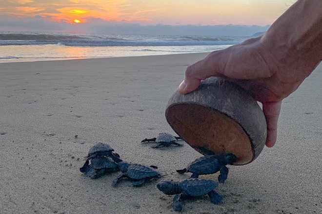 Liberacion-Ecotour Liberacion Ecotour