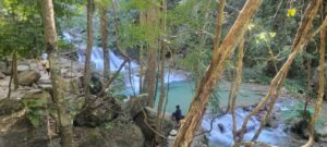 WhatsApp Image 2025 05 20 At 17.24.45 2 300x135